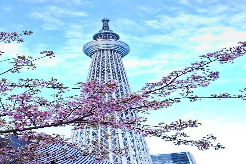 Best value tours to Kyoto Japan by NT Holidays Madurai